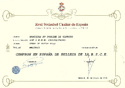 des temps anciens - certificat du titre de championne d'Espagne de Bandidas.