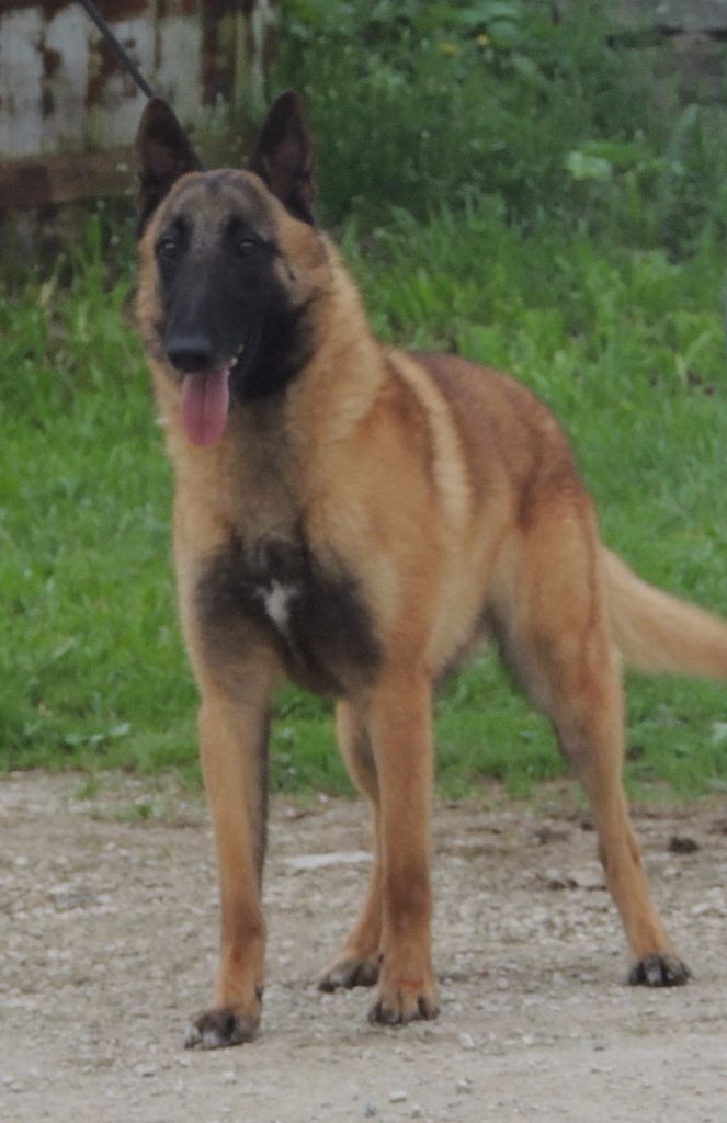 Mystique sortilège des temps anciens